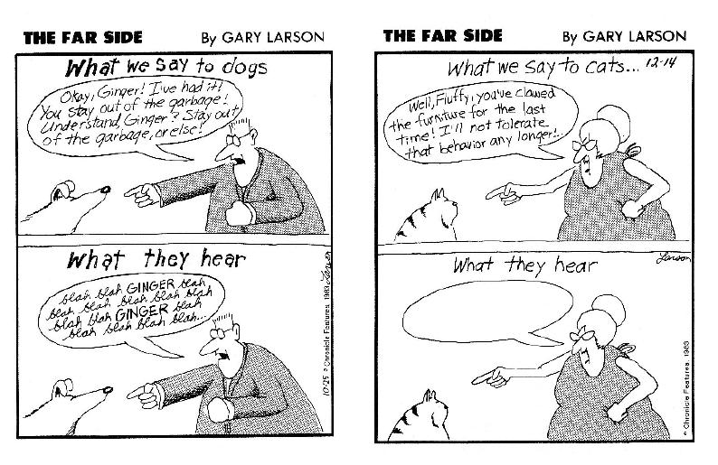 figure: farside